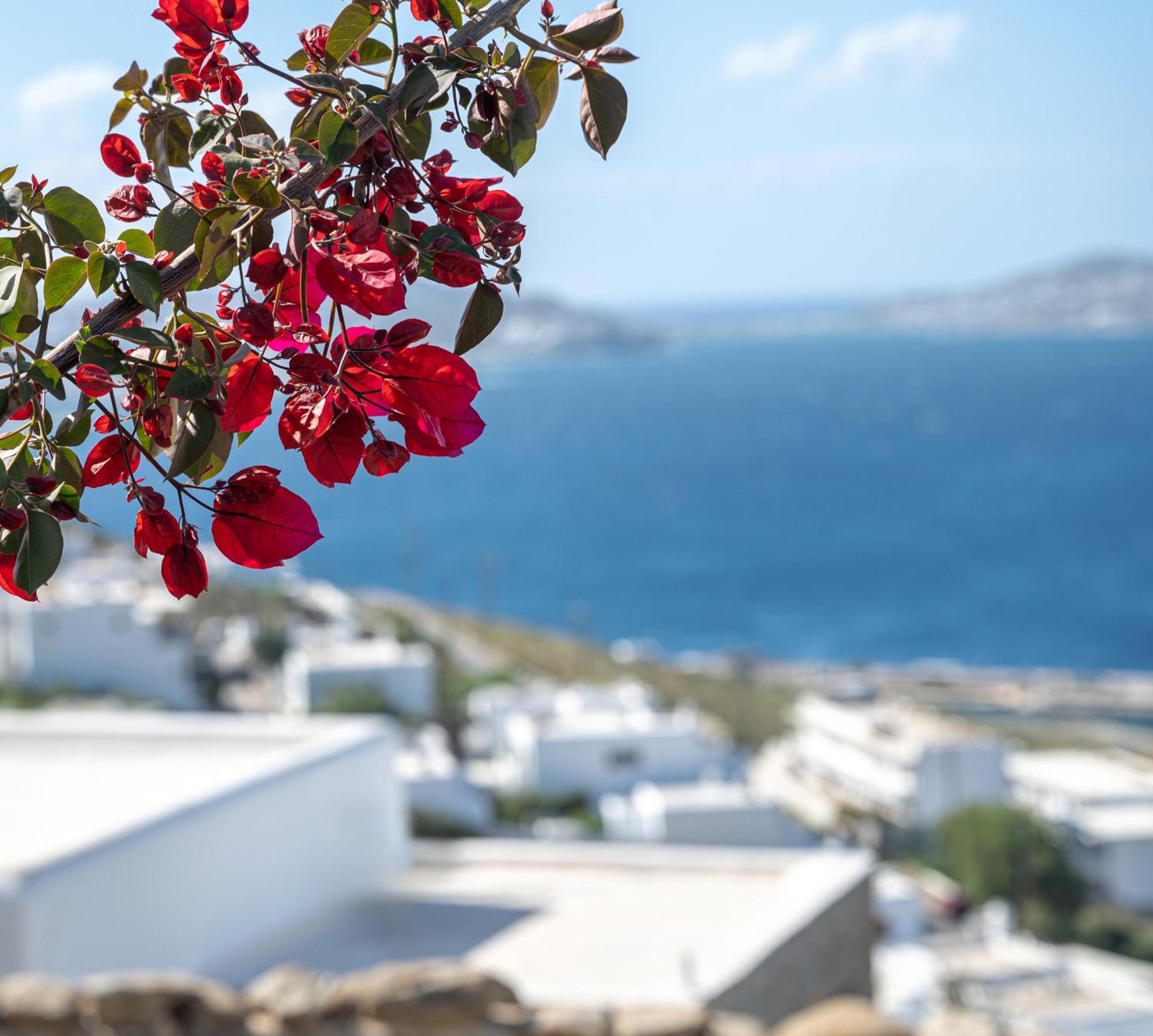 Amelie Mykonos